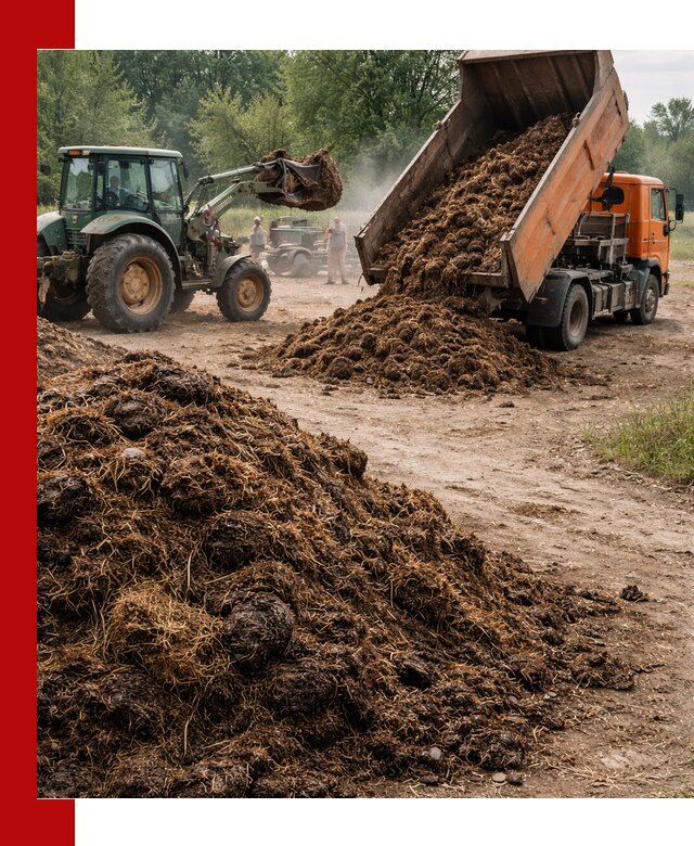 Доставка навоза самосвалами в Михайловке для сельхозпотребностей